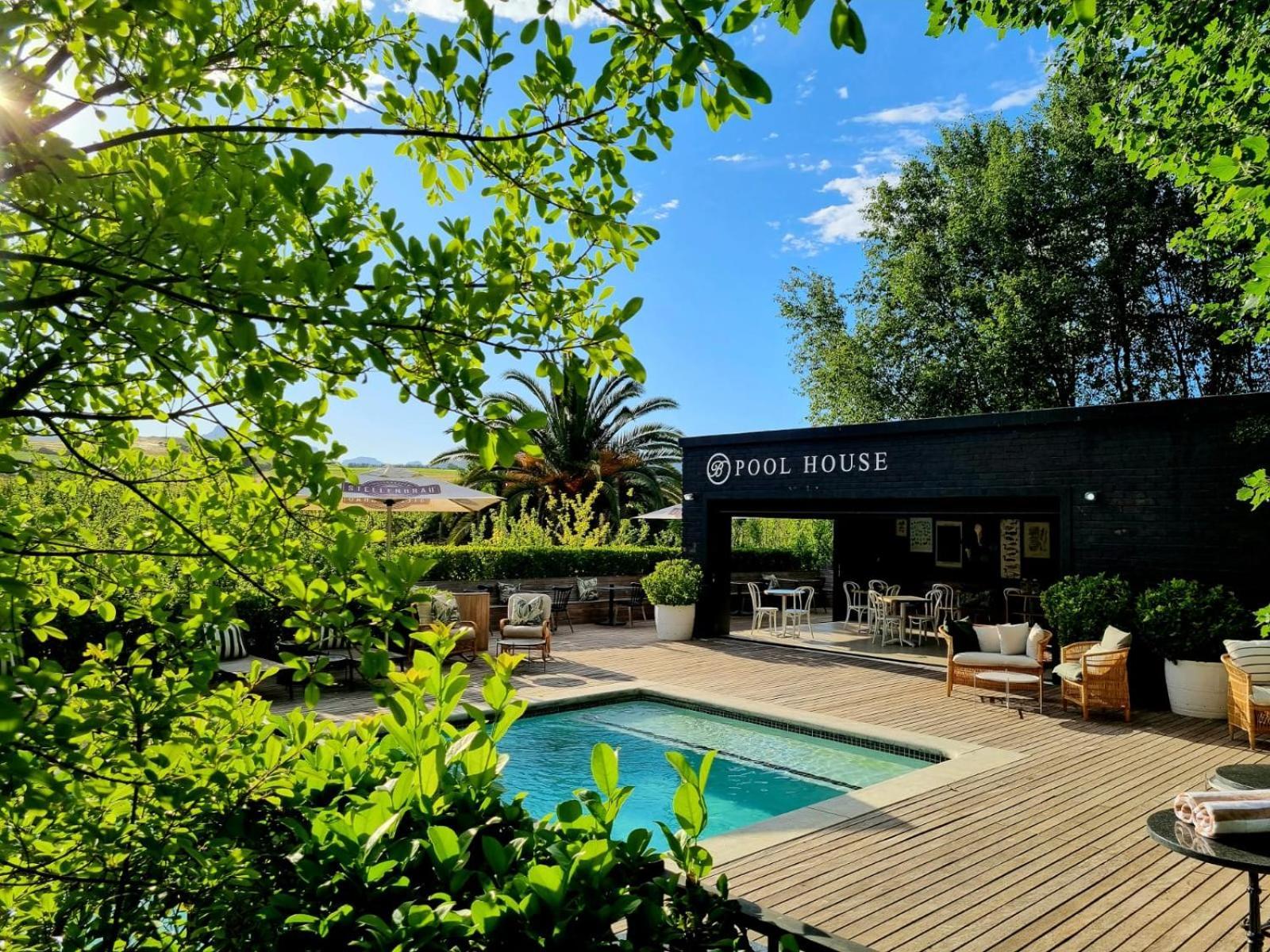 Brenaissance Wine & Stud Estate Hotel Stellenbosch Ngoại thất bức ảnh