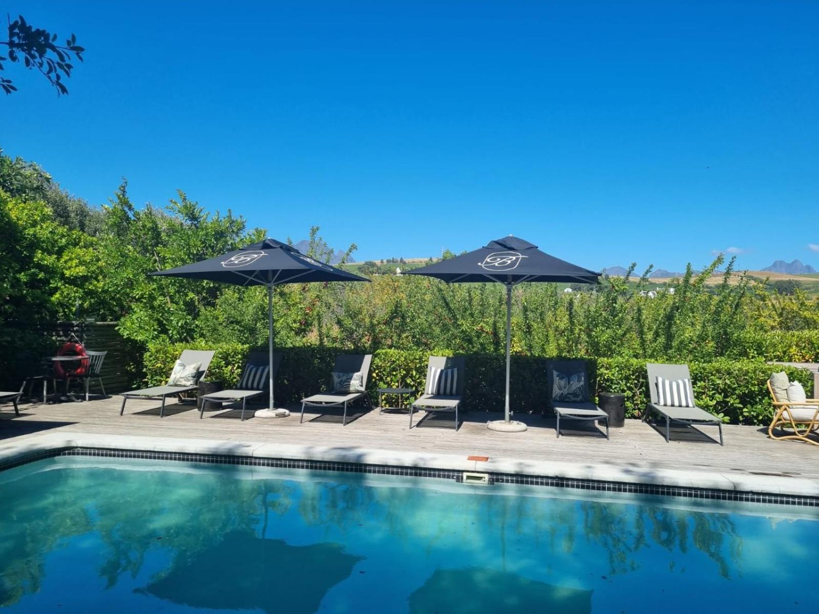Brenaissance Wine & Stud Estate Hotel Stellenbosch Ngoại thất bức ảnh