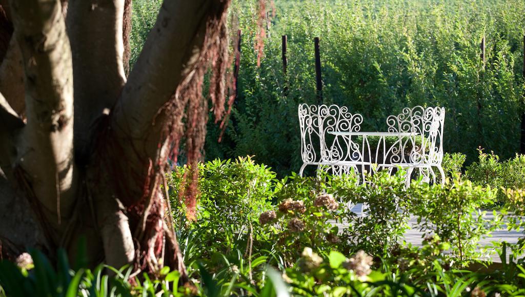 Brenaissance Wine & Stud Estate Hotel Stellenbosch Ngoại thất bức ảnh