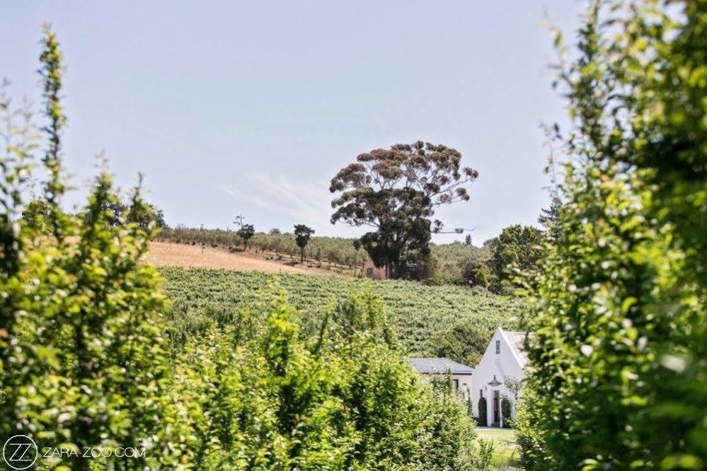 Brenaissance Wine & Stud Estate Hotel Stellenbosch Ngoại thất bức ảnh