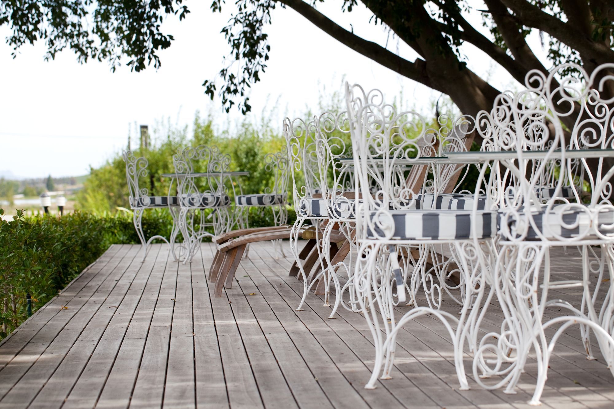 Brenaissance Wine & Stud Estate Hotel Stellenbosch Ngoại thất bức ảnh